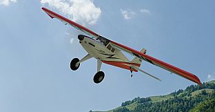 RealFlight Evolution - 2024 Year Content Pass