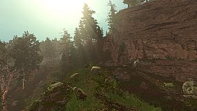 Trials of Wilderness