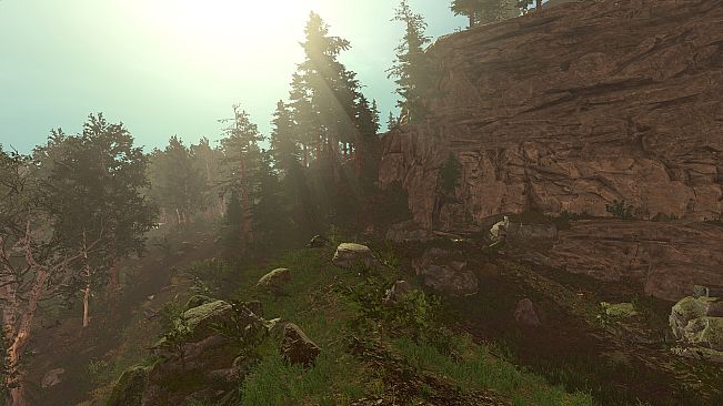 Trials of Wilderness