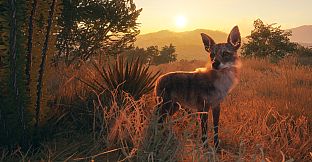 theHunter: Call of the Wild - Rancho del Arroyo