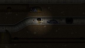 A toad well travelled