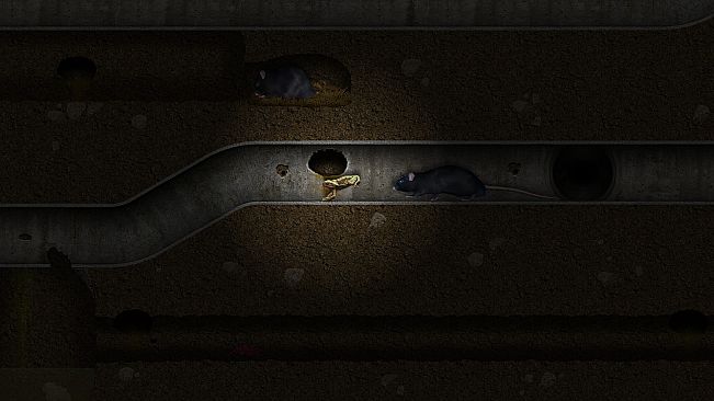 A toad well travelled