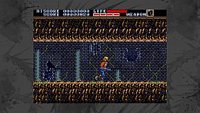 Earnest Evans Collection