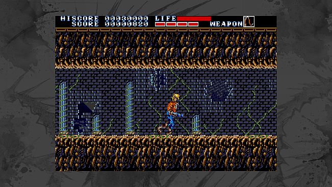 Earnest Evans Collection