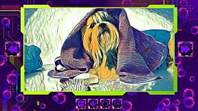 Twizzle Puzzle: Dogs