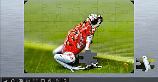 Jigsaw Puzzle World - Amphibians