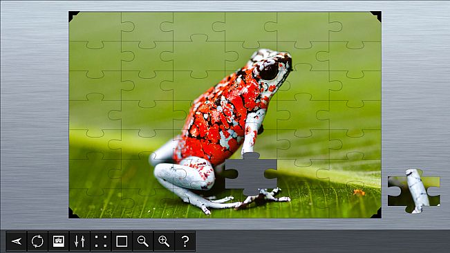 Jigsaw Puzzle World - Amphibians