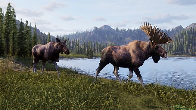 Way of the Hunter 2 - Deluxe Edition
