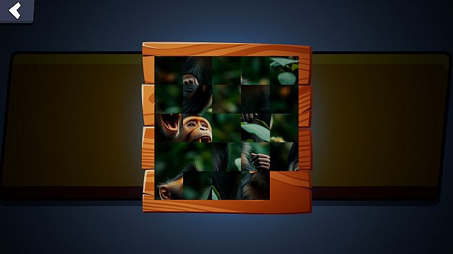 Saylor Animals Puzzle