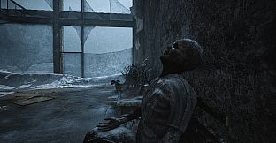Phantom Veil