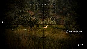 Hunting Simulator 2