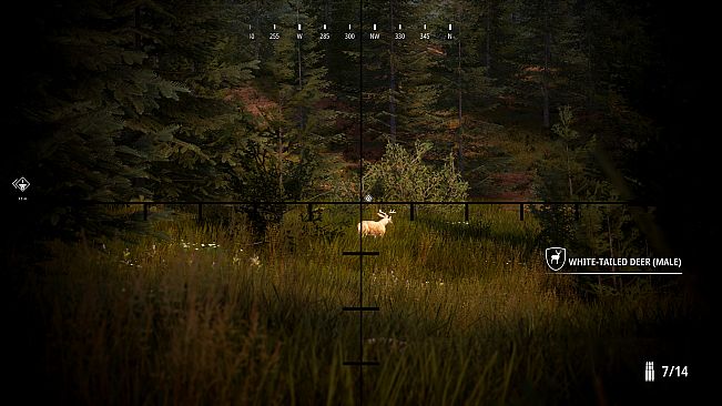 Hunting Simulator 2