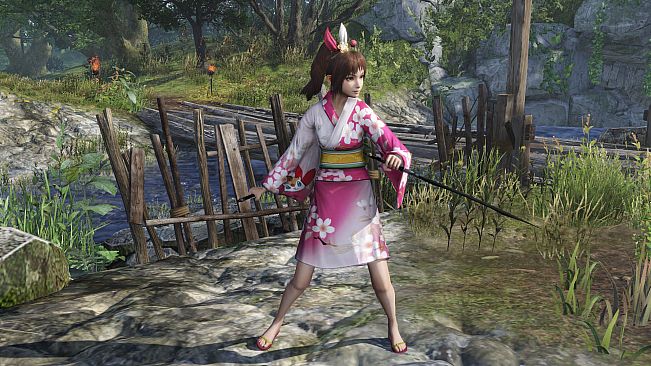 WARRIORS OROCHI 4/無双OROCHI３ - Legendary Costumes Samurai Warriors Pack 4
