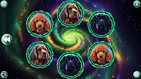 Space Memory: Dogs