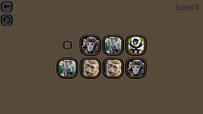 Animals Memory: Monkeys