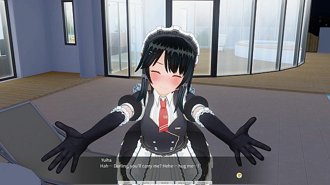 CUSTOM ORDER MAID 3D2&2.5+ X1+Vol.01