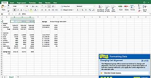 Professor Teaches Excel 2016 – Mac