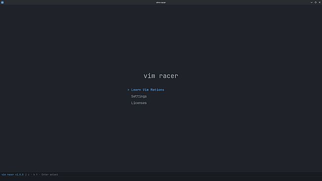 vim racer