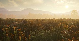 theHunter: Call of the Wild - Ultimate Hunting Bundle