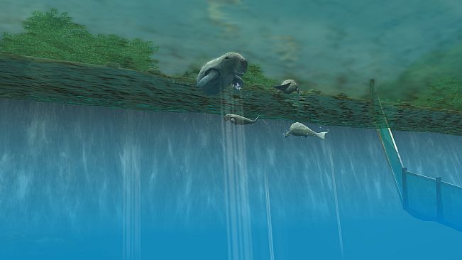 Wildlife Park 3 - Amazonas