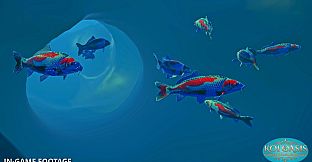 Koi Oasis: Breed. Build. Bloom.