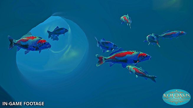 Koi Oasis: Breed. Build. Bloom.
