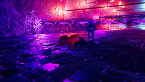 UKNON Jones & Guynelk 2