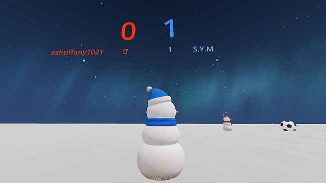 Snowball Party