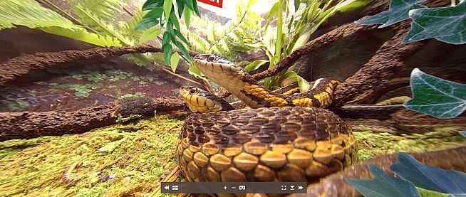 Tony's Creepy Crawly Zoo 2.0