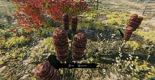 Far Beach: Desire Remains