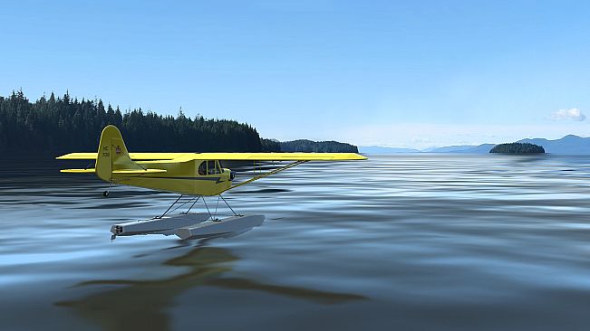 RealFlight Evolution - 2025 Year Content Pass