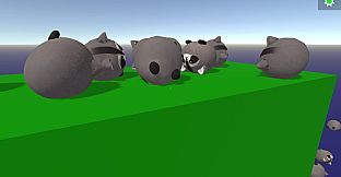 Sort the Raccoons