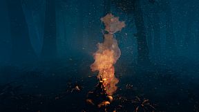 The Woods