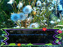 tomorrow is my birthday