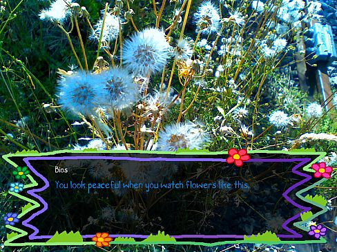 tomorrow is my birthday