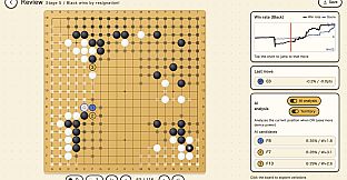 Hibiki & Kanon's Go 19x19 Complete Biginner's Course