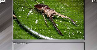 Super Jigsaw Puzzle: Generations - Bugs 2