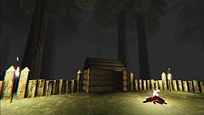 Trapped in the Forest