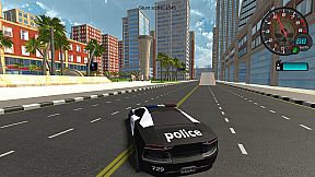 Police Stunt Cars