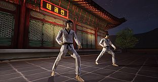 Taekwondo Demonstration Team Simulator
