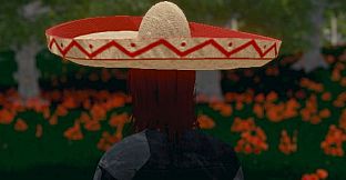 Hide and Seek - Sombrero