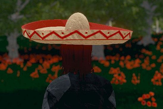 Hide and Seek - Sombrero