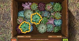 Nature Escapes 3 Collector's Edition