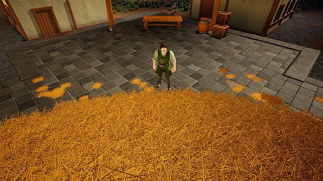 A Needle In a Haystack