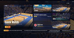 Volleyball Mania