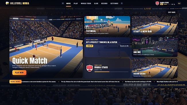 Volleyball Mania