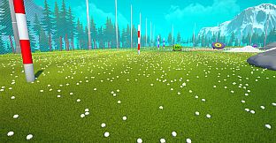 BALL PICKER - Clean Up the Golf Yard