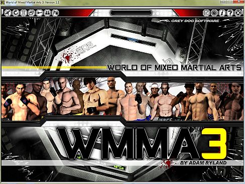 World of Mixed Martial Arts 3
