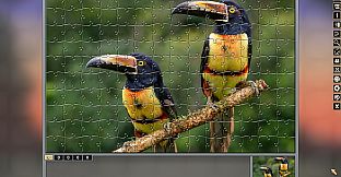 Pixel Puzzles Traditional Jigsaws Pack: Colorful Animals