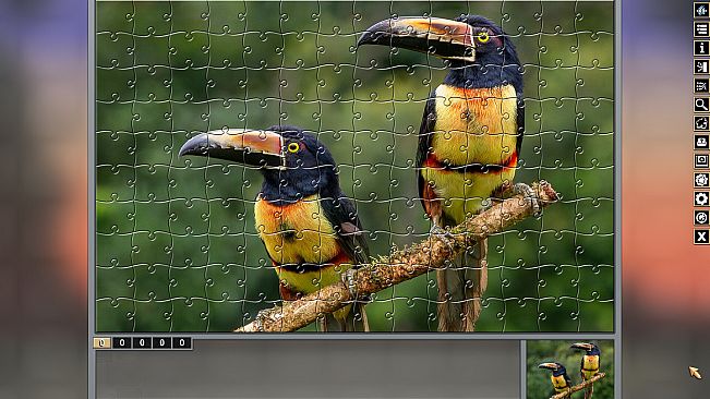 Pixel Puzzles Traditional Jigsaws Pack: Colorful Animals